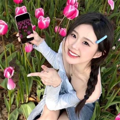 房子的故事