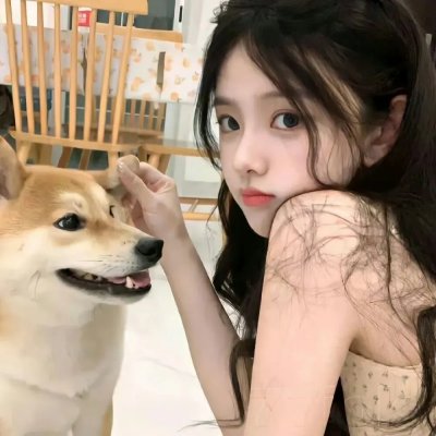 丢羊
